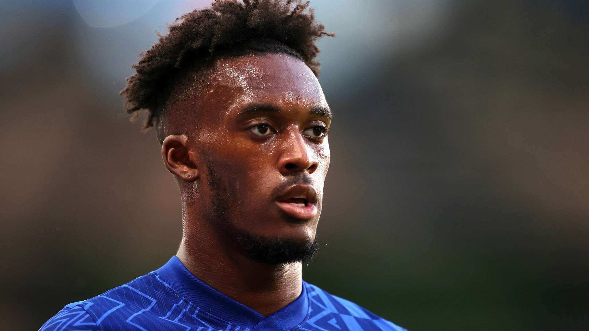 的到來將加 的到來將加