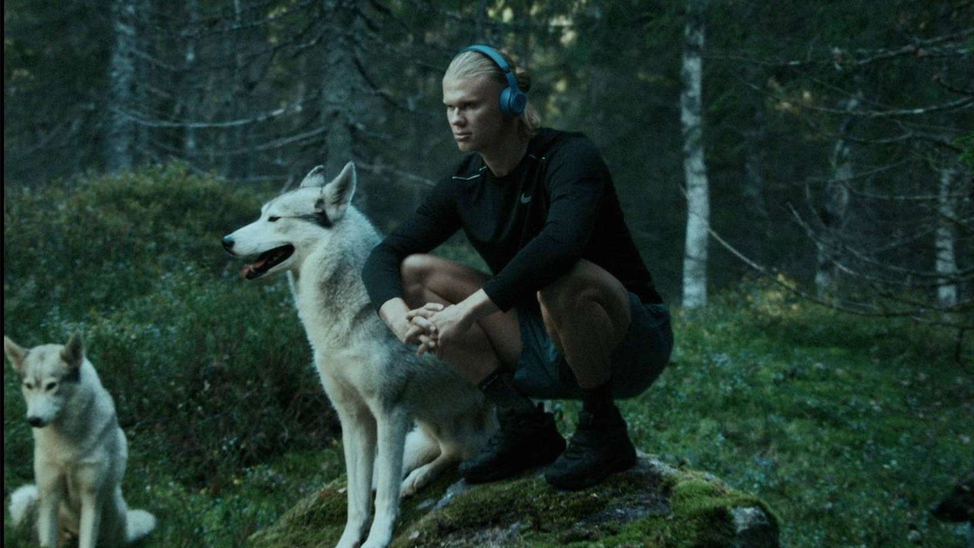 題並協調他 題並協調他