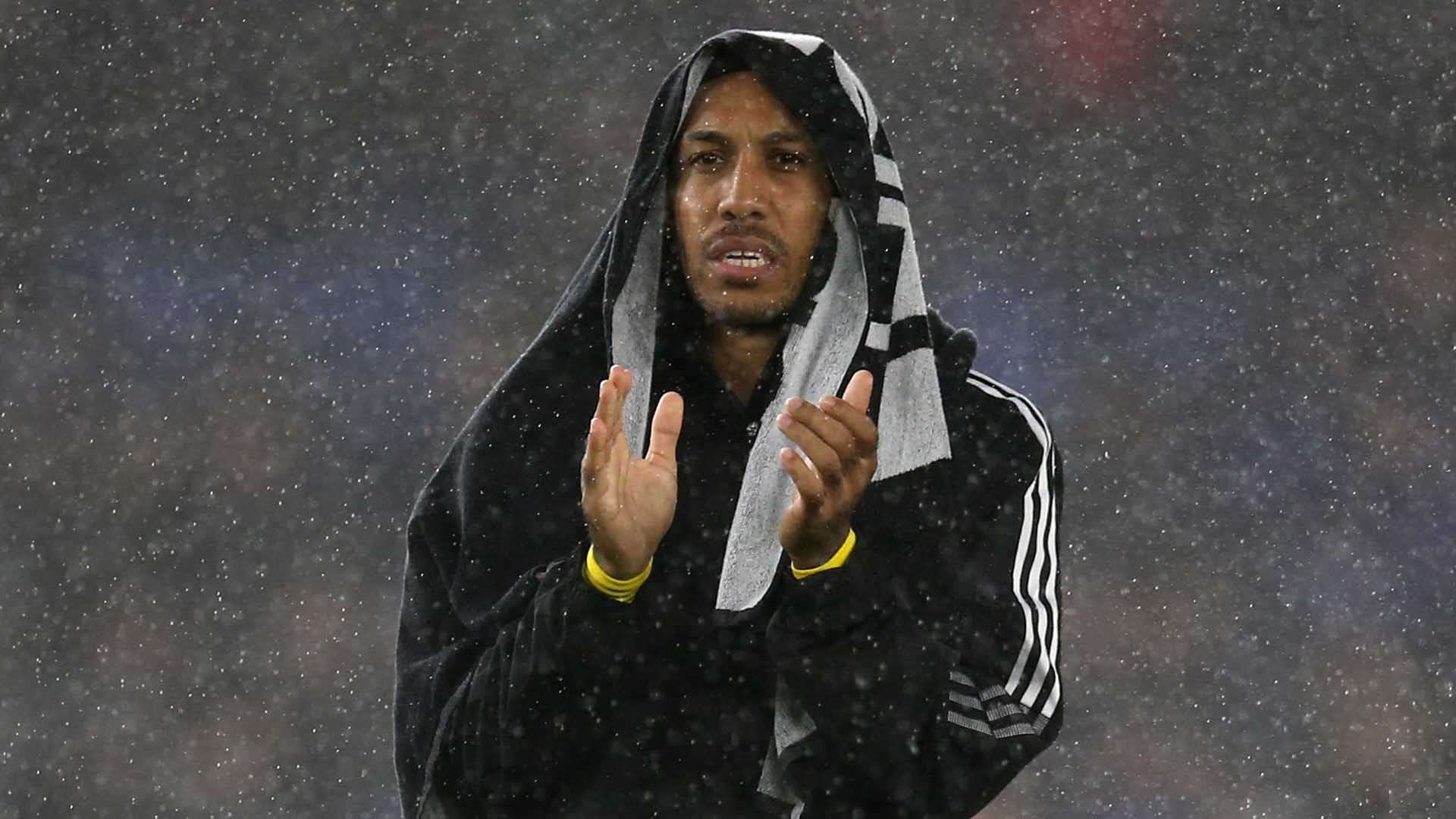 上表现无疑 上表现无疑